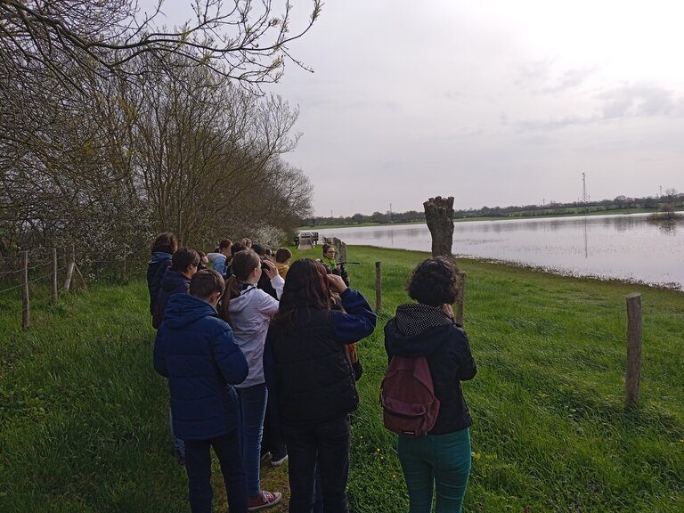 Marais de Grée